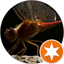 Jim Edward profile picture